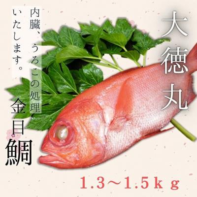 ふるさと納税 三浦市 脂たっぷり!【三崎水揚げ】金目鯛