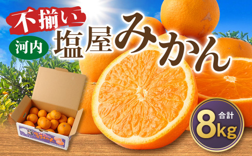 ＜2025年11月発送予定＞【不揃い】選べる 河内 塩屋みかん 8kg 早生みかん 熊本 国産 みかん 蜜柑 ミカン 果物 くだもの フルーツ