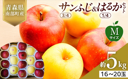 青森県産 サンふじ(3/4)・はるか(1/4)セット Mサイズ 5kg 【佐々木あきおはるこ農園】 青森りんご リンゴ 林檎 アップル あおもり 青森県 南部町 三戸 果物 くだもの フルーツ おすすめ F21U-575