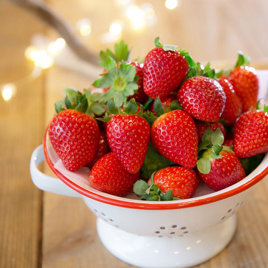 [3月以降発送] [期間限定] 栃木県産 いちご ロイヤルクイーン12～15粒 先行予約 選べる発送月｜栃木県産 矢板市産 フルーツ スイーツ デザート 果物 果実 産地直送 栃木県 矢板市 