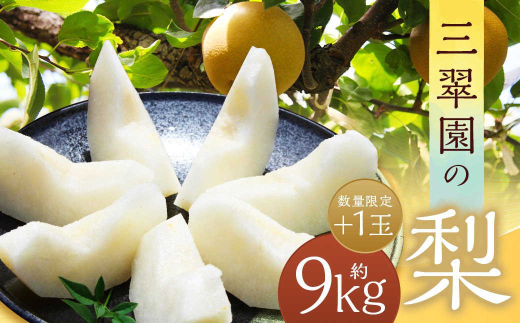 
                  【数量限定】 三翠園の梨 9.0kg+1玉 【2026年8月上旬～12月上旬迄順次発送予定】 梨 なし ナシ 果物 果実 フルーツ 幸水 豊水 二十世紀 あきづき 新高 新興 九州 福岡県 嘉麻市 冷蔵
                