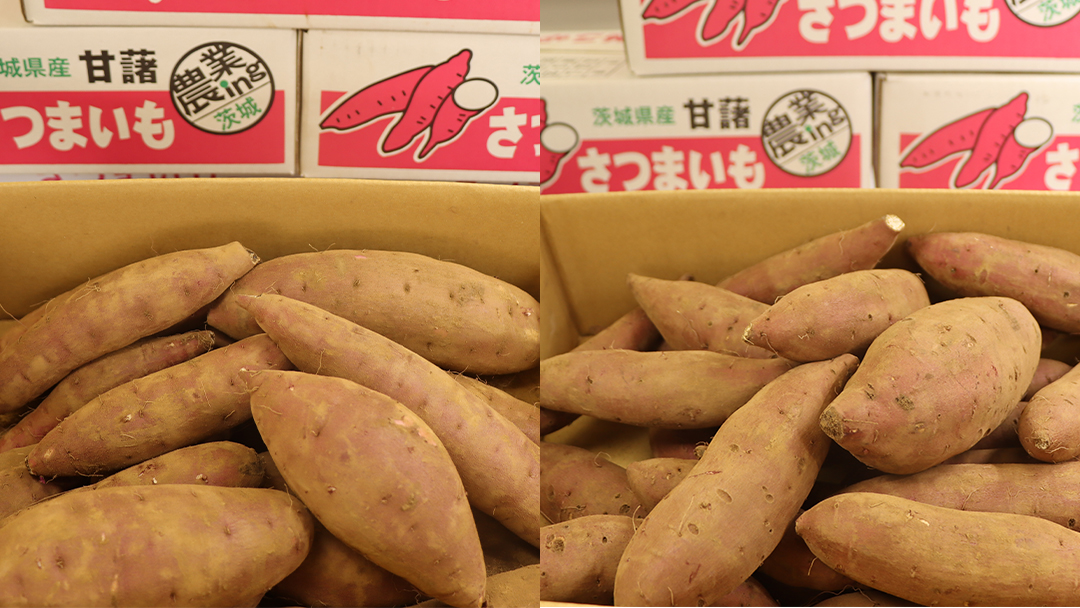 さつまいも 【 シルクスイート ・ 紅はるか 】 5kg ( 箱込 )の 2箱セット さつまいも 詰合せ 国産 農園 野菜 サツマイモ 芋 期間限定 デザート スイーツ おやつ 料理 味噌汁 煮物 生