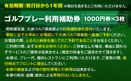 大洲ゴルフ倶楽部 ゴルフプレー利用補助券 1000円券×3枚 愛媛県大洲市/大洲観光株式会社  ゴルフ場 プレー プレー券 旅行 体験[AGDI001]