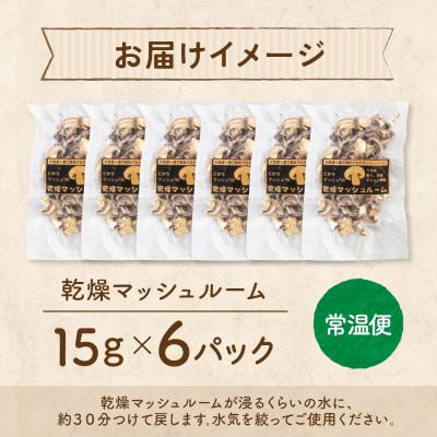 ふるさと納税 帯広市 十勝 乾燥 マッシュルーム 15g×6パック とかちマッシュ 即席で便利 北海道 帯広市 |  | 03