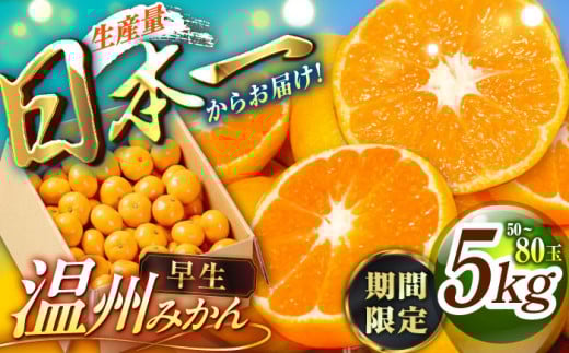 【先行予約】【11月中旬から順次発送】 早生みかん 5kg 箱 2S～Mサイズ 50玉～80玉 赤秀 期間限定 数量限定 みかん 愛媛みかん 柑橘 果物 フルーツ みかんジュース ミカン 早生みかん 愛媛県大洲市/愛媛たいき農業協同組合[AGAO005]
