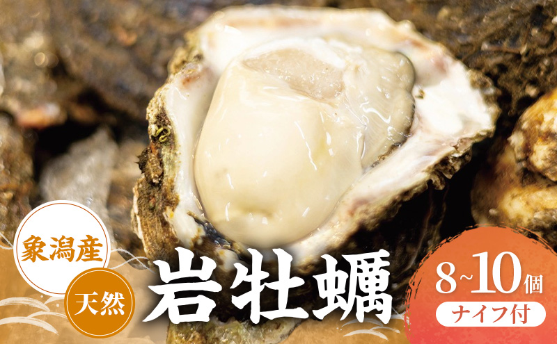 象潟産　天然岩牡蠣 8～10個 ナイフ付【牡蠣 夏牡蠣 かき 象潟 生食可 魚介類 海鮮　海産物 海の幸】　秋田商店