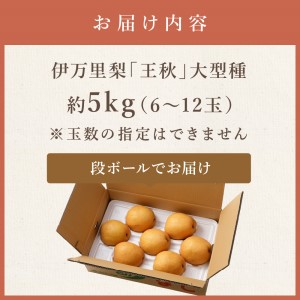 【令和8年産先行予約】伊万里梨「王秋」 約5kg  178-B943