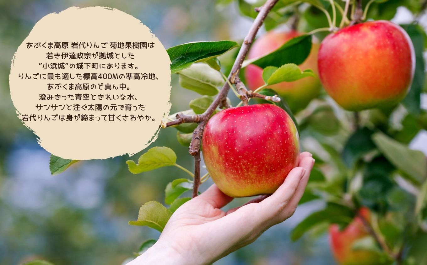 《10月下旬以降順次発送》りんご農家が作る絶品冷凍りんご！「冷え冷えアップル」10個入り【菊地果樹園】