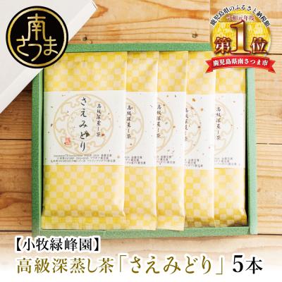 ふるさと納税 南さつま市 【日本茶AWARD受賞】高級深蒸し茶「さえみどり」 5本セット (100g×5袋)