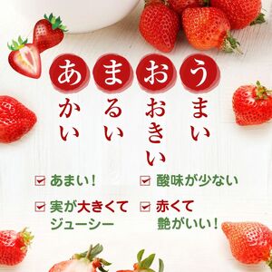 【アフター保証】4月発送！JAよりお届け！「博多あまおう」約280g×2パック【ほたるの里】_HA1938
