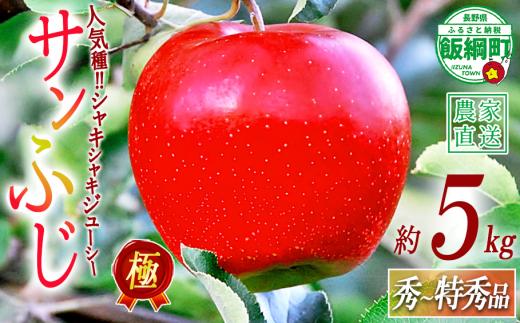 りんご 極み サンふじ 5kg こだわりの土作り 松澤農園 2026年11月下旬頃から2027年1月中旬頃まで順次発送予定 令和8年度収穫分 長野県 飯綱町 [1338]