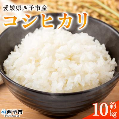 ふるさと納税 西予市 <令和8年産愛媛県西予市産 コシヒカリ 10kg>国産 愛媛県産 宇和町産 宇和米 こしひかり