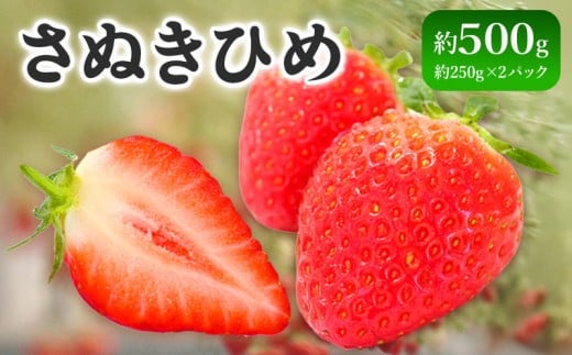 先行予約 いちご さぬきひめ 約500g  果物 フルーツ 苺 デザート スイーツ ケーキ ジュース ゼリー アイス シャーベット ジェラート フルーツ大福 ドライフルーツ クレープ ギフト 家庭用 旬の果物 旬 ビタミンC 美容 健康 お取り寄せ グルメ 人気 おすすめ 香川県 丸亀市