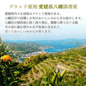 【発送月固定定期便】みかんまどんな食べ比ベ(3kg＆2.5kg)【F25-198】全2回【4066099】