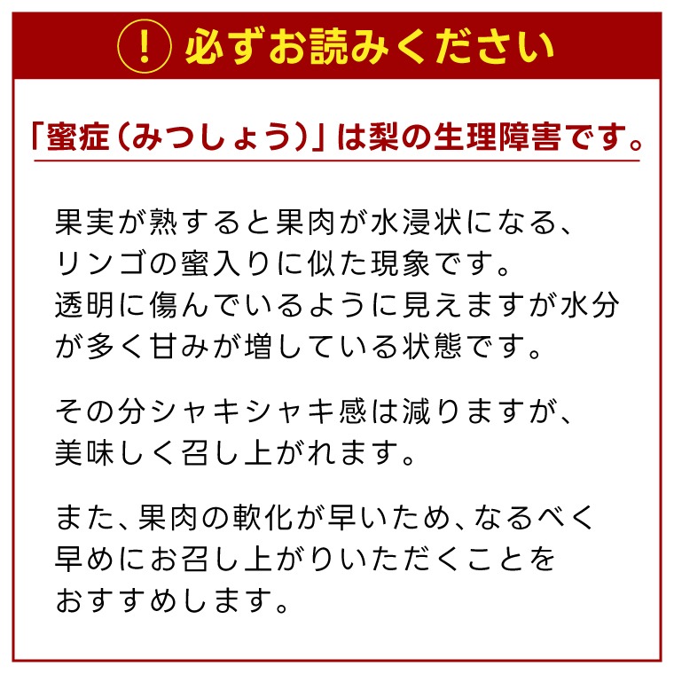 【先行予約】【数量限定】仁平果樹園の梨 「にっこり」5kg (5個～12個) (10月上旬より順次配送) | 果物 新鮮 フルーツ ギフト 梨 ナシ 益子町産梨 甘い あまい 糖度11.5以上 糖度保証 果汁 果肉 栃木県 益子町 (DB005)