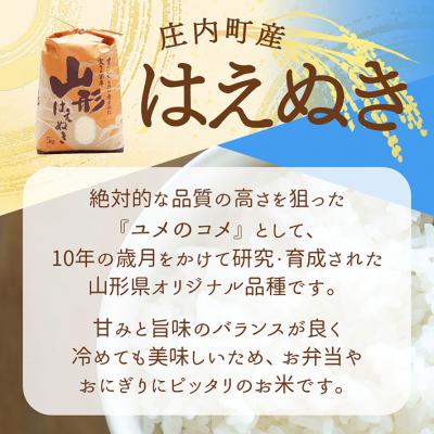 ふるさと納税 庄内町 渡會さんのうまい米!はえぬき 5kg 令和7年産 2025年産 ブランド米 |  | 01