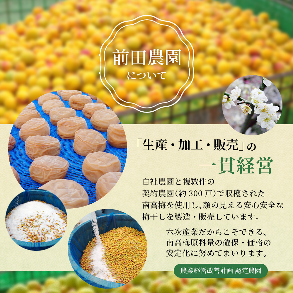 大粒 たっぷり浸かったしそ漬け梅 1kg×1パック 塩分10％ / お歳暮 紀州南高梅 訳ありでない 梅干 うめぼし 南高梅 しそ梅 シソ 紫蘇 国産 梅 うめ ウメ ご飯 和歌山県 田辺市 前田農園