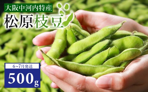 【先行予約】【濃厚な甘み】有機肥料・減農薬 枝豆 大粒 選べる 500g ぷっくりホクホク食感！ えだまめ 夏野菜 旬 産地直送 冷蔵 お中元 上田ファーム 大阪府 松原市