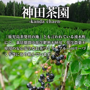 神田茶園×きくすい堂コラボ！一番摘み茶葉使用ティーバッグ(4g×20)上煎茶(100g)ときくすい堂の和洋菓子(7～10個)の詰め合わせ！ホッと一息タイムに！ 和菓子 詰め合わせ 食べ比べ スイーツ 