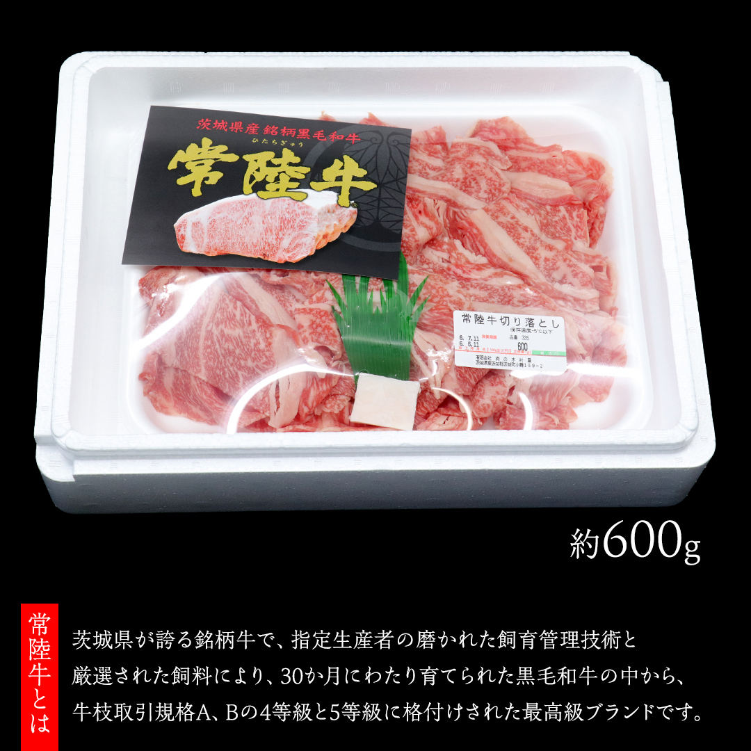 常陸牛 切り落とし 約 600g （茨城県共通返礼品：行方市） ひたちぎゅう 黒毛和牛 牛肉 ひたち牛 ブランド牛 切り落し 切落し