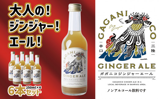 【 炭酸飲料 】 ガガニコ ジンジャーエール 6本セット ( 250ml × 6本 ) 【 飲み物 ノンアルコール 北限のゆず しょうが プレゼント 】 RT1955