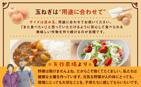 R7年産先行受付　有機農産物　玉ねぎ　20kg　(有)矢作農場/014-36224-b01B　玉ねぎ 玉ねぎ 玉ねぎ 玉ねぎ 玉ねぎ 
