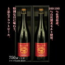 【ふるさと納税】佐賀のクラフトビール〈サガン・サリュート〉ストロングバーレー 2本組：B245-005