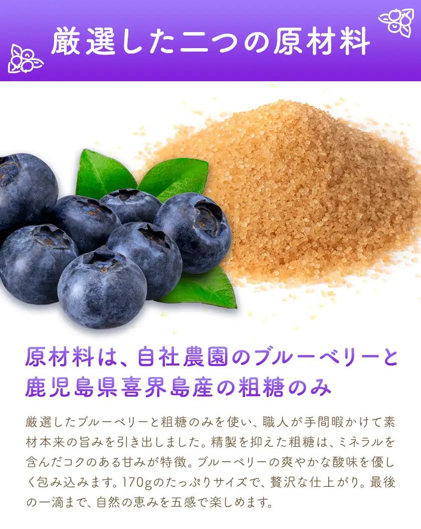 ブルーベリー ソース 170g 4本 田野農園《30日以内に出荷予定(土日祝除く)》鹿児島県 さつま町