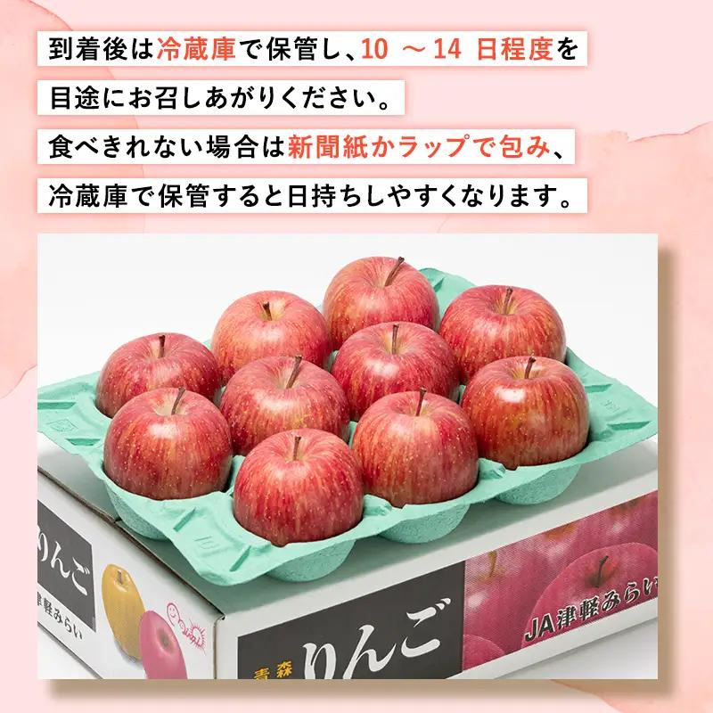 糖度選別サンふじ 約3kg  [hi-0001-027]