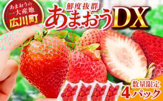 【★先行予約★　2026年2月より発送】あまおうDX等級  2ケース（270g×4パック） いちご イチゴ 苺 フルーツ 果物 旬 福岡県産 小分け あまおう 博多 産地直送 大きい 甘い いちご イチゴ 広川町 / JAふくおか八女農産物直売所どろや [AFAB004]