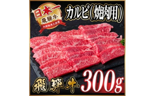 飛騨牛　厳選カルビ(焼肉・BBQ用) 300g　A4～A5等級 黒毛和牛【1732946】