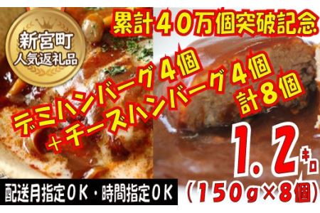 ZG197.累計４０万個突破記念！お試し1.2㎏!デミ＆カレーハンバーグセット【150g×8個】