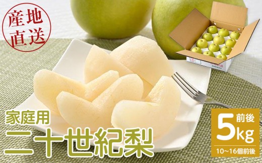 【先行予約】【家庭用】二十世紀梨 5kg前後 (10個～16個前後) 鳥取県産 ※着日指定不可 ※2026年8月下旬～9月中旬頃に順次発送予定【梨 なし 訳あり 5kg 新鮮 2026年 令和8年 二十世紀 鳥取県 北栄町 おすすめ 人気 大容量 国産 送料無料 20世紀】