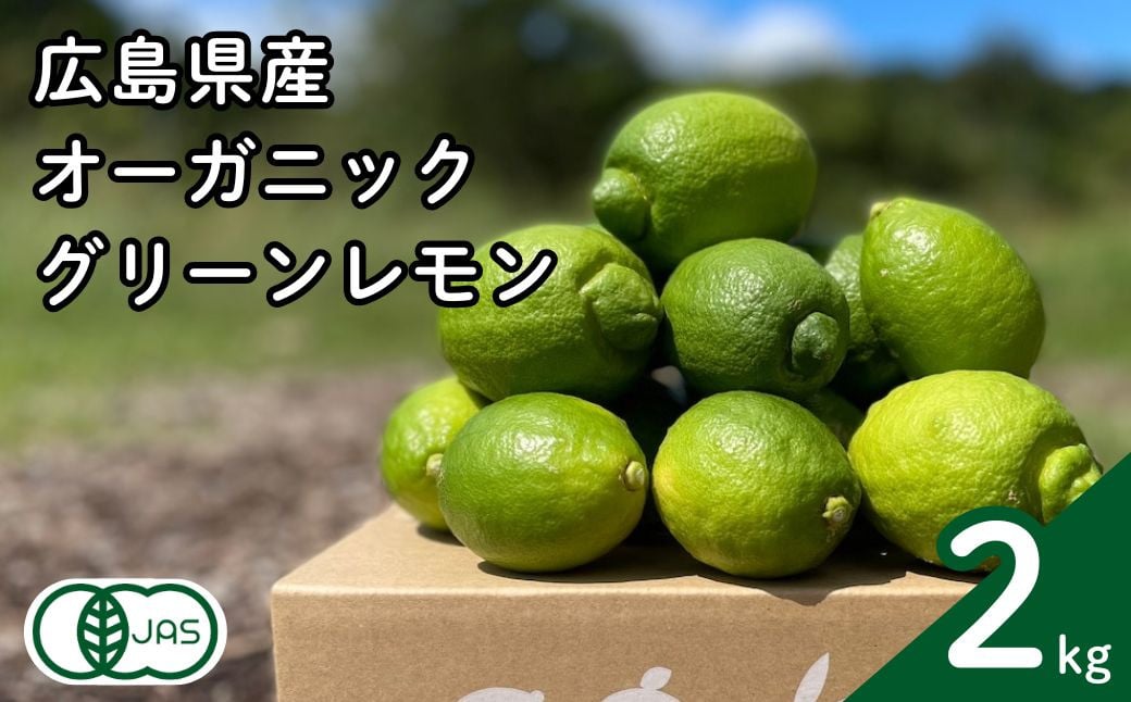 
            グリーンレモン 約2kg 有機JAS認証取得 フルーツ 果実 広島県産有機 オーガニックレモン 10~11月発送予定 国産 瀬戸内レモン 大崎上島 送料無料 産地直送 ふじやファーム
          