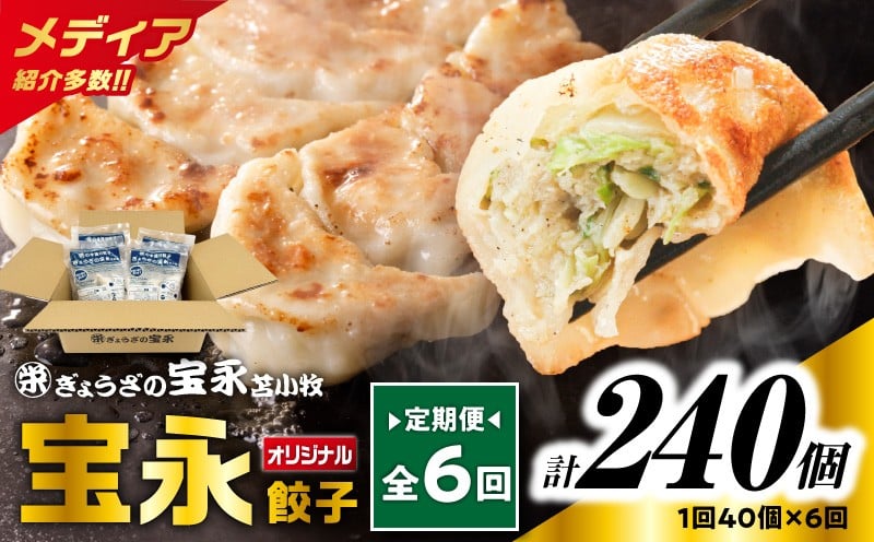 
            【全6回定期便（毎月）】宝永餃子10個入セット（宝永餃子10個入×4袋）合計1.0kg　T004-T03-04
          