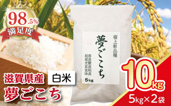 【新米】【7年産】近江米夢ごこち【5kg×2袋】【T035W2】