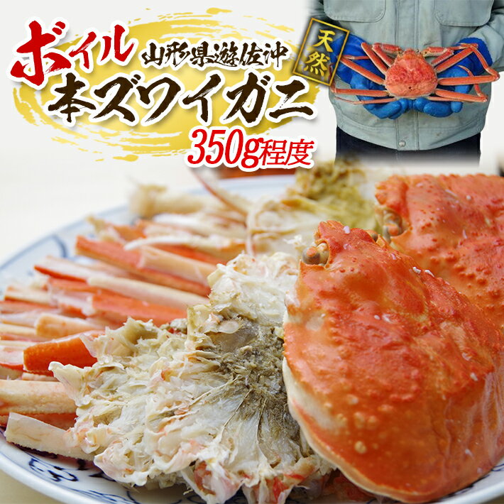 【ふるさと納税】ボイル 本ズワイガニ 1匹 350g程度 遊佐沖 10月中旬～12月下旬頃お届け 冷蔵便 ※着日指定・離島（沖縄県を含む）発送不可 1人前 東北 山形県 遊佐町 庄内地方 日本海 カニ 蟹 かに 海産物 シーフード 海鮮 新鮮 まるごと ボイル 焼き 期間限定 ゆで 茹で