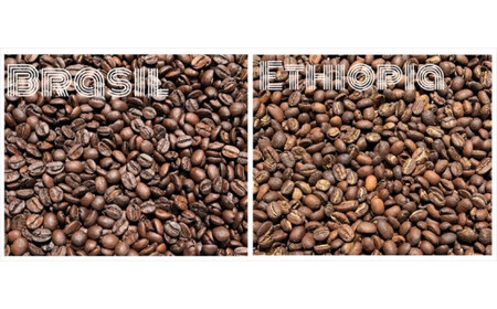 スペシャルティコーヒー 飲み比べセット【豆】 （５０g×６個）【 コーヒー 神奈川県 小田原市 】