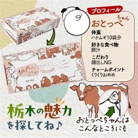 【60箱入り】使い切りパック!栃木の魅力ティッシュボックス 150w×60箱【配送不可地域：離島・沖縄県】【1512983】