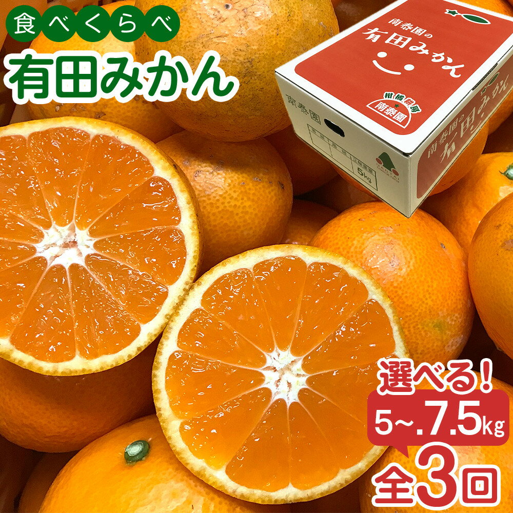 【ふるさと納税】【選べる容量】定期便 訳あり 傷多め 5～7.5kg 全3回 有田みかん 食べくらべ 3種 南泰園 みかん