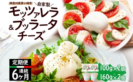 チーズ 6ヶ月 定期便 詰め合わせ 各2個 フレッシュ チーズ