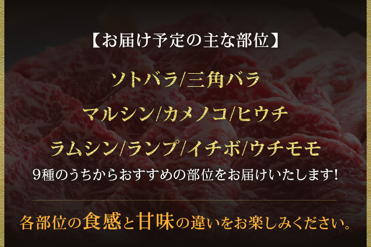 【但馬牛 焼肉食べ比べ おすすめ5種盛り 500g】冷凍 ※発送目安：貴重な部位のためお届けに1～2か月要します 黒毛和牛 ルーツ 香美町 産地直送 国産 牛肉 ブランド 和牛 バーベキュー キャンプ