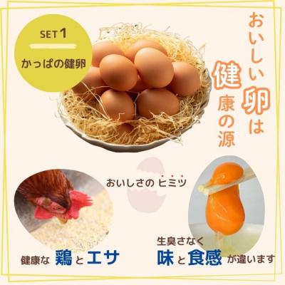 ふるさと納税 比布町 たまごかけごはんセット | 