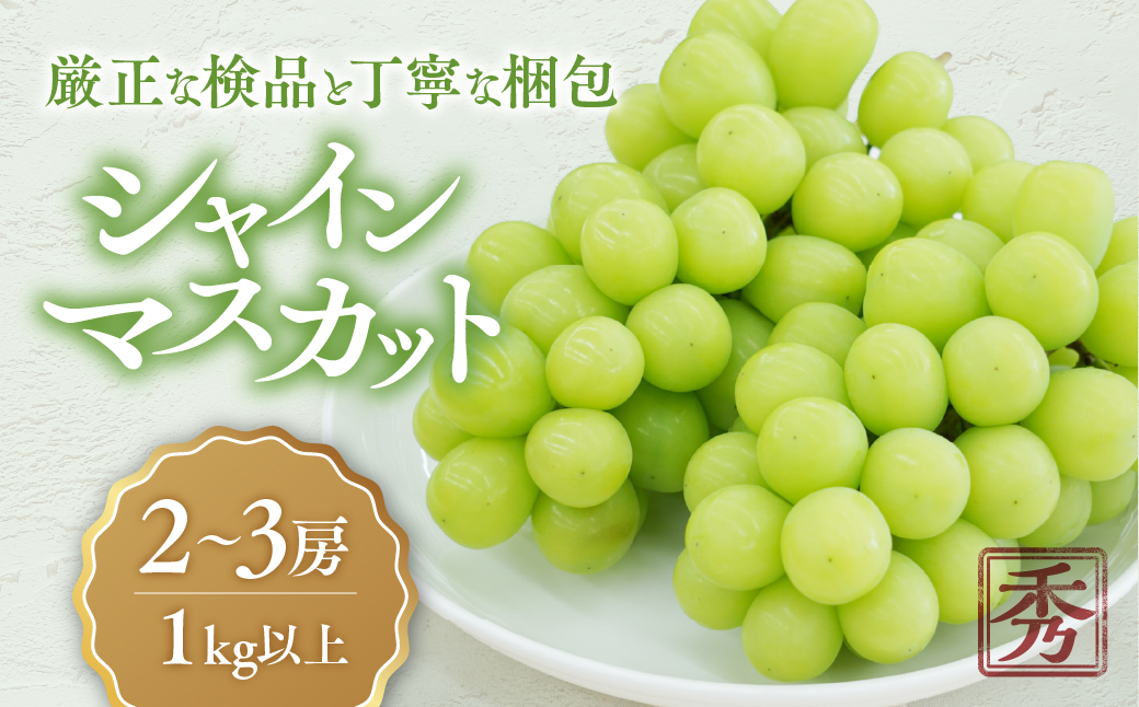 【☆先行予約☆2025年令和7年発送】シャインマスカット「こだわり」１kg以上　2～3房　山梨県産　産地直送　フルーツ　果物　くだもの　ぶどう　ブドウ　葡萄　シャイン　シャインマスカット　新鮮　人気　おすすめ　国産　贈答　ギフト　お取り寄せ