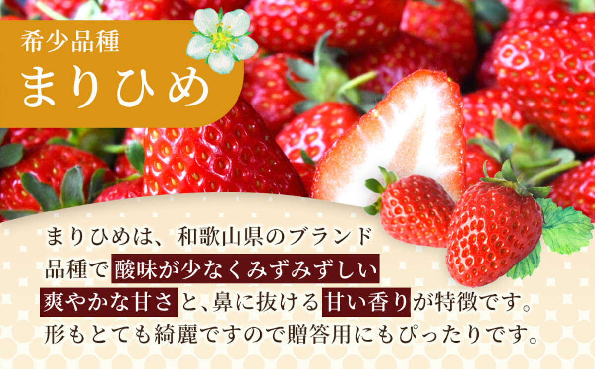 先行予約 まりひめいちご 15～20粒入×4パック 食べやすいひと口サイズ こだわり 農家厳選 ［KG32］