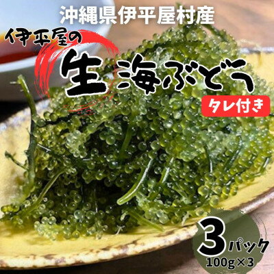 【ふるさと納税】ぷちぷち濃厚 伊平屋の「生」海ぶどう 100g×3パック【1582125】