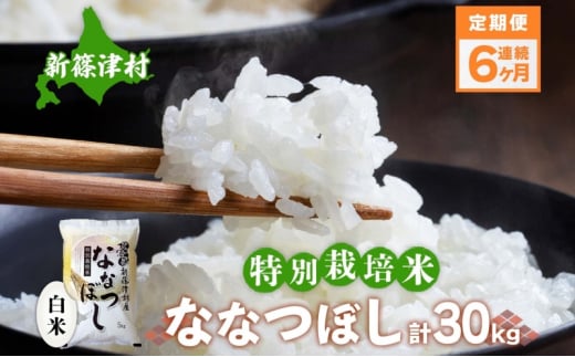 定期便 6ヵ月 北海道 特別栽培 令和7年産 ななつぼし 5kg 精米 米 白米 お米 ごはん ご飯 ライス 道産米 ブランド米 新しのつ米 ふっくら 食味ランキング 産地直送 カワサキ森田屋 お取り寄せ 送料無料