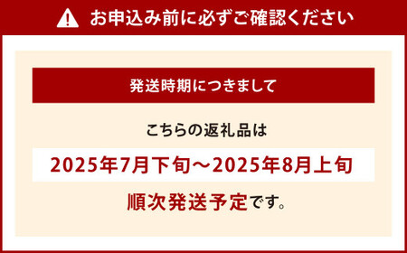 福岡県北九州市若松産 【優等品】 若松クイーン 約4kg以上 (約2kg以上2玉入り) 【2025年7月下旬～8月上旬発送予定】