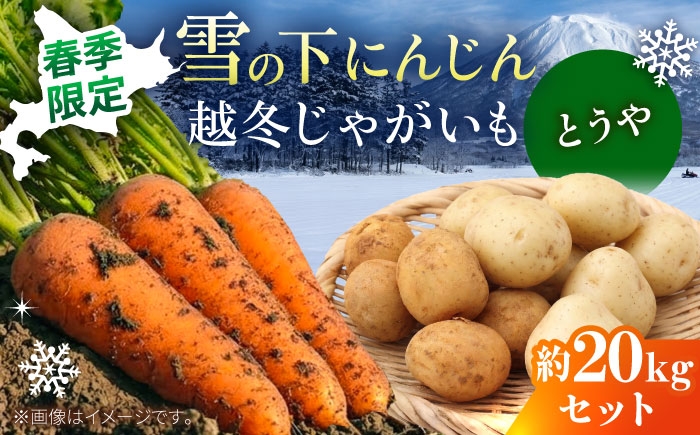
                  【2027年3月下旬以降順次発送】 雪の下にんじんと越冬じゃがいもセット 計20kg （とうや）|  野菜セット 野菜 セット にんじん じゃがいも  | 道の駅 真狩フラワーセンター [BPAM034]
                