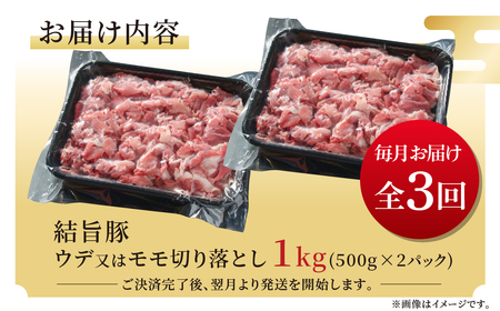 《定期便》全3回 結旨豚 ウデ又はモモ 切り落とし 500g×2パック 冷凍真空パック | 肉 お肉 豚肉 国産 食べ比べ セット 白川郷 岐阜県 白川村 ブランド豚 人気 おすすめ ギフト 飛騨高山